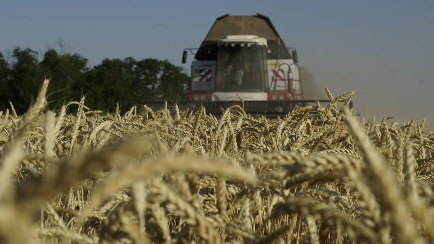 «Не решают наших проблем»: что нужно России для возобновления «зерновой сделки»