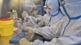 ВОЗ заявила о стремительном распространении варианта коронавируса «Эрис»
