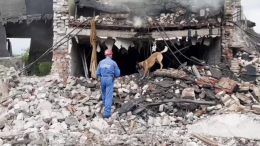 Минздрав: после взрыва в Сергиевом Посаде пострадали 80 человек