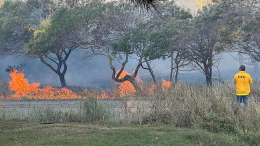 На Гавайях жертвами природных пожаров стали 53 человека