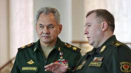 Шойгу обсудил вопросы военного сотрудничества с белорусским коллегой Хрениным