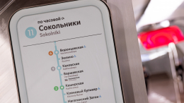В России предложили отказаться от английского перевода на схемах в метро