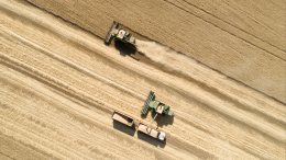 Молдавия поможет Украине с вывозом зерна: стратегия разработана