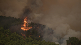 Зона смертельной опасности: природные пожары вспыхнули на Тенерифе