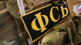В Зеленогорске задержаны террористы, собиравшиеся подорвать вышки связи