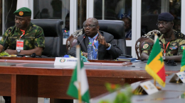 В ЭКОВАС определили день возможной интервенции в Нигер