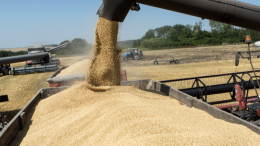 Удар в спину: Польше могут грозить жесткие санкции из-за зерна с Украины