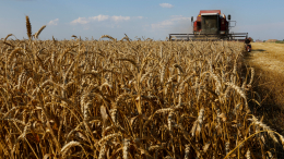 Владимир Путин напомнил условия для возвращения к зерновой сделке