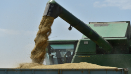 Путин заявил о решении вопроса о бесплатных поставках зерна в Африку