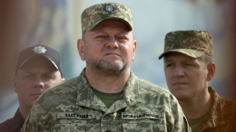 На Украине подтвердили участие Залужного в секретном совещании с генералами НАТО