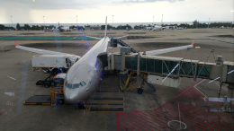 «Аэрофлот» запускает прямые рейсы из Санкт-Петербурга в Дубай