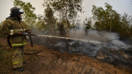 Жаркая ночь: природный пожар вспыхнул рядом с Армавиром