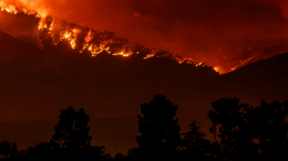Площадь природного пожара в Геленджике выросла до пяти гектаров