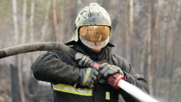 Виновник задержан: главное о сильнейшем природном пожаре в Геленджике