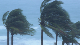 Кубинский шторм «Идалия» добрался до Флориды: срочная эвакуация