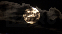 Как рукой подать: москвичи наблюдают над городом «голубую Луну»