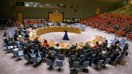 СБ ООН не принял резолюцию РФ о санкциях против Мали