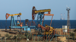 РФ и ОПЕК договорились о сокращении поставок российской нефти на внешний рынок