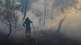 Самый крупный пожар в истории Европы: огонь продолжает уничтожать Грецию