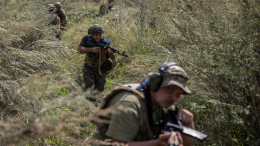 На Украине задумались об экстрадиции беженцев для пополнения рядов ВСУ