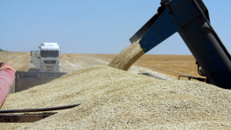 Два пункта: в Турции раскрыли план ООН по возвращению России в зерновую сделку