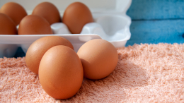 В чем секрет? Почему коричневые яйца стоят дороже белых