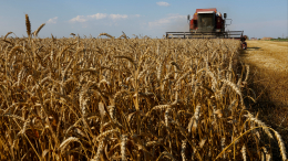 Ненужные посредники: почему Россия не вернется в зерновую сделку