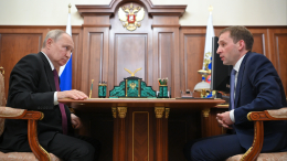 Путин обсудил с министром природных ресурсов экологическую безопасность России