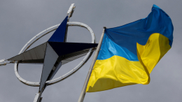В Великобритании заявили о трещине в отношениях Украины и Запада