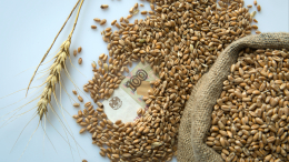 Лидеры G20 призвали к полному выполнению зерновой сделки