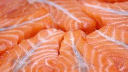 «При нынешнем курсе»: как падение цен на лосося скажется на росте спроса на рыбу