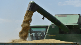 В Европе раскритиковали поставки зерна беднейшим странам