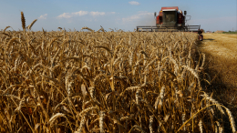 Макрон на G20 проигнорировал вопрос о зерновой сделке — но почему?
