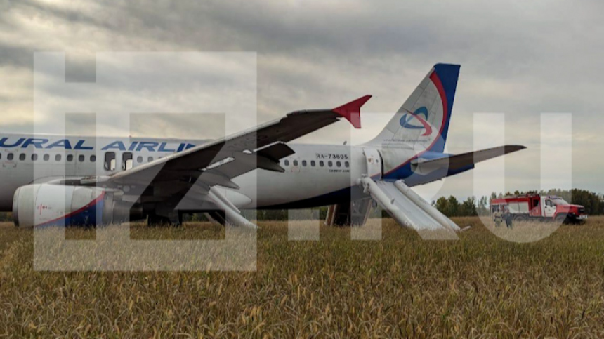 Стала известна предварительная причина экстренной посадки самолета Омск — Сочи