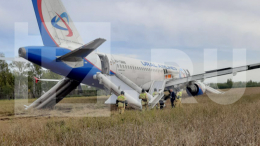 Испуганные пассажиры и МЧС: кадры с места аварийной посадки борта Сочи — Омск