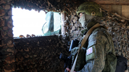 «Всех уничтожил»: в США заявили о стойкости и мотивированности армии России