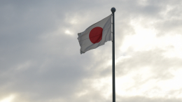 Правительство Японии полным составом ушло в отставку