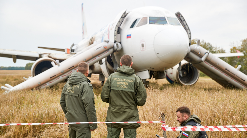 Пшеничное чудо: посадивших Airbus в поле под Новосибирском летчиков представят к наградам