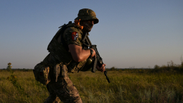 «Начали давить»: в Польше признали мощь российской армии в зоне СВО
