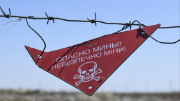 Боевики ВСУ выгнали военнопленных на минное поле