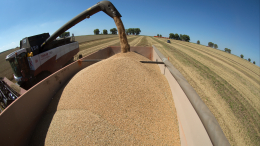 Еврокомиссия разрешила поставки украинского зерна