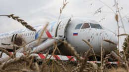 Пшеничное чудо: все подробности аварийной посадки самолета под Новосибирском