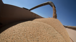 Поставок не будет: Боррель заявил о невозможности возобновления зерновой сделки
