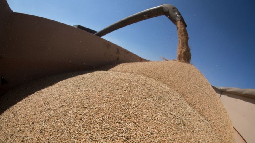 Поставок не будет: Боррель заявил о невозможности возобновления зерновой сделки