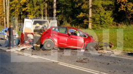 В жуткой аварии с фурой в Калужской области погибла мать с двумя детьми