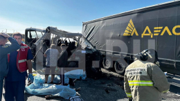 Три человека погибли в ДТП с микроавтобусом в Нижегородской области