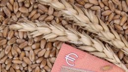 Евросоюз в августе вывез 4 млн тонн зерна с Украины сухопутным путем