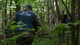 В Хакасии нашли пропавших в тайге подростков