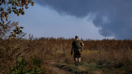Украинские боевики на сватовском направлении сдались в плен ВС РФ