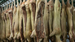 Китай одобрил поставки свинины из России